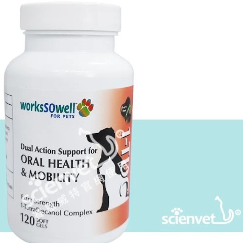 螢幕擷取畫面 2023-03-27 170136.jpg