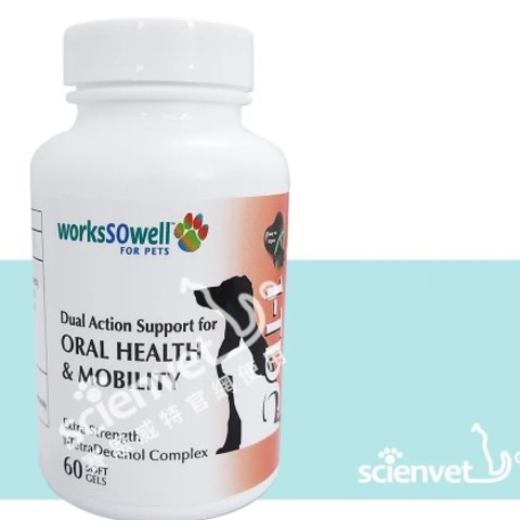 螢幕擷取畫面 2023-12-27 164821.jpg